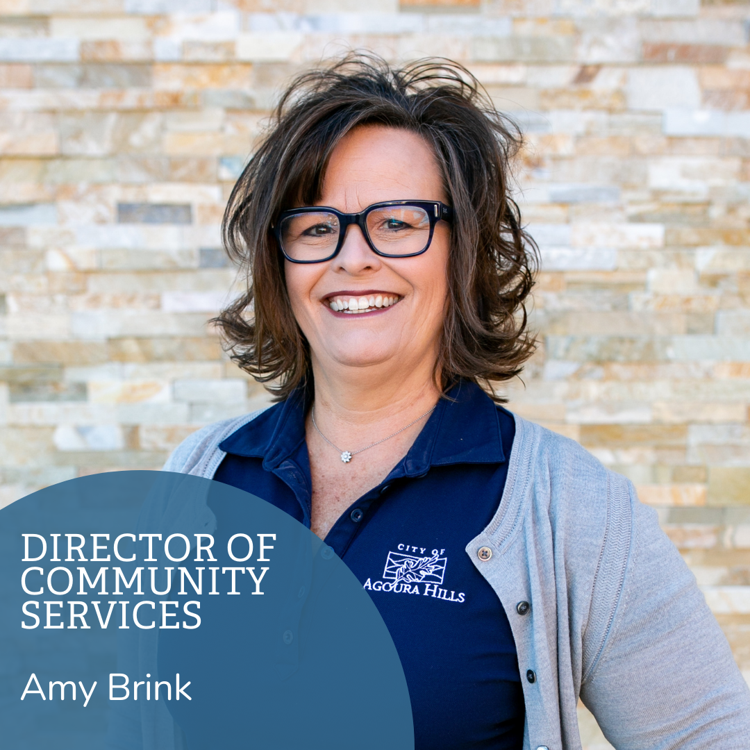 Amy Brink Headshot