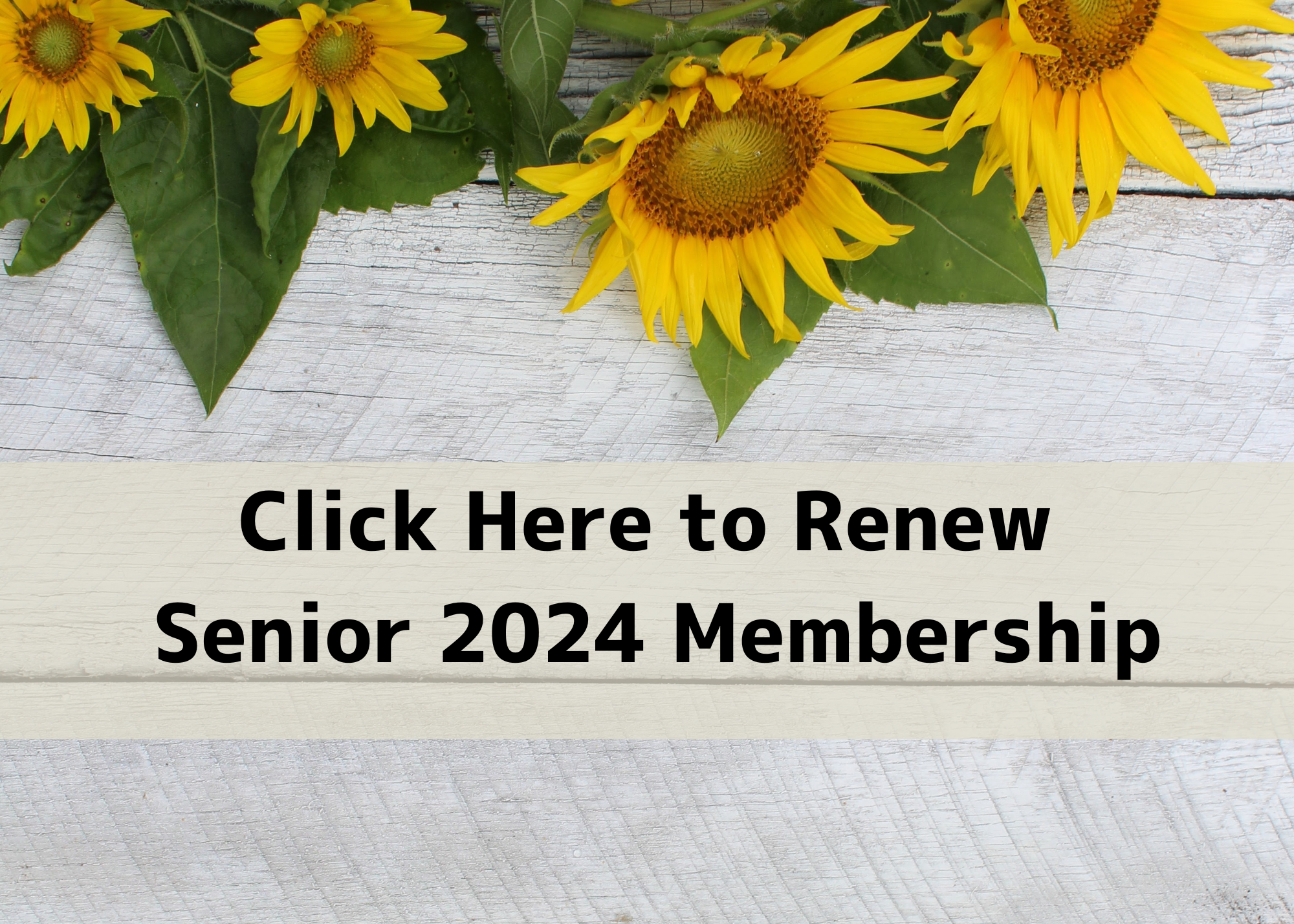 Click Here to Renew Senior 2024 Membership